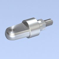 Anchor bolt with eyestainless steel