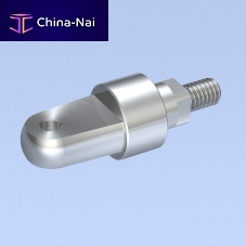 Anchor bolt with eyestainless steel