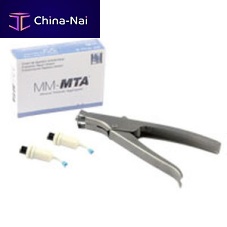 Endodontic cement MTA