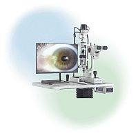 Digital slit lamp Hawk-Itable
