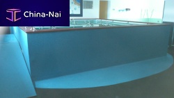 Above-ground rehabilitation swimming pool KINEO®