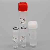 Virus swab bacterianasopharyngealwith transport medium