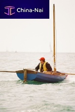 Classic open sailing/rowing boat Laita