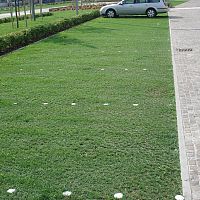 Lawn grate PRATOPRATICO®