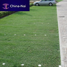 Lawn grate PRATOPRATICO®
