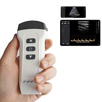 Hand-held ultrasound system DW-X1for gynecological and obstetric ultrasound imagingfor abdominal and pelvic ultrasound imagingfor musculoskeletal ultrasound imaging