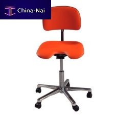 Dental stool with backreston casters