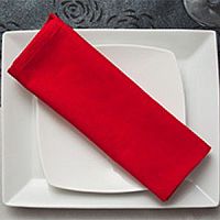 Airliner dish disposable