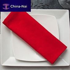 Airliner dish disposable