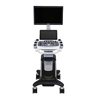 On-platform veterinary ultrasound system V90multipurposefor small animalsfor large animals