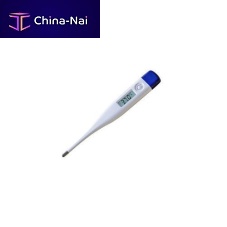 Fever thermometer digital