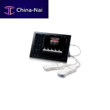 Hand-held ultrasound system minisonofor multipurpose ultrasound imagingB/Wcolor doppler