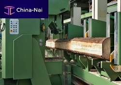 Band saw SNT TANDEMverticalwoodautomatic