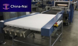 Belt conveyor SSB 550horizontaltransporthandling