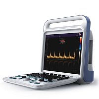 Portable ultrasound system M9for multipurpose ultrasound imagingfor endovaginal ultrasound imagingB/W