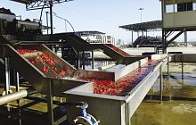 Hydraulic conveyor for tomatoesfor the food industrystainless steel
