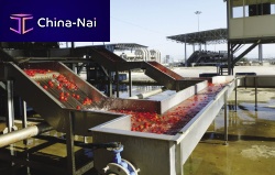 Hydraulic conveyor for tomatoesfor the food industrystainless steel