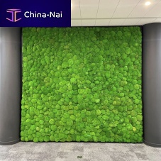 Preserved green wall custommossindoor