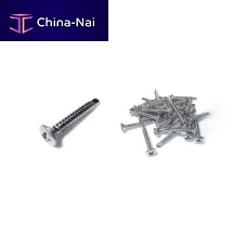 Cylindrical head screw DR170oval headPhillipsthreaded