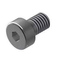 Cylindrical head screw 21.1193/0hex socketgalvanised steel