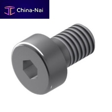 Cylindrical head screw 21.1193/0hex socketgalvanised steel