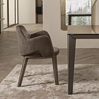 Contemporary chair newtonindoorleathersolid wood base