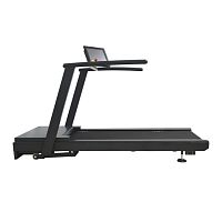 Treadmill ergometer with handrails CMT2263adult