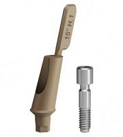 Titanium implant abutment PEEKplasticinternal