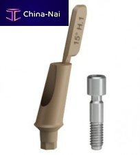 Titanium implant abutment PEEKplasticinternal