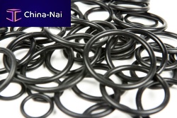 Stainless steel ring 0105052075PTFEEPDM