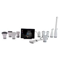 Hand-held ultrasound system U-Litefor multipurpose ultrasound imagingB/Wcolor doppler