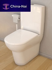 Close coupled toilet 100ceramicrimlesshome