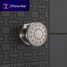 Lateral shower head 50102-SS