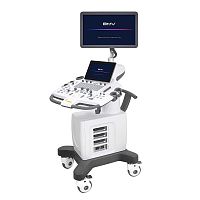 On-platform veterinary ultrasound system BPU100 Vetmultipurposefor swinefor cattle