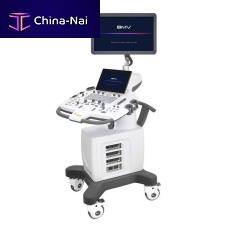 On-platform veterinary ultrasound system BPU100 Vetmultipurposefor swinefor cattle