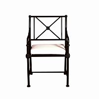 Traditional chair 1800gardenfabriclacquered aluminum