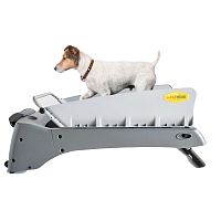 Dog veterinary treadmill PZ1701