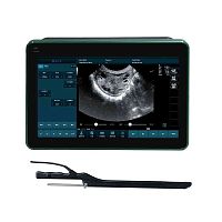 Portable veterinary ultrasound system BXL-DZ20multipurposefor cattlefor sheep