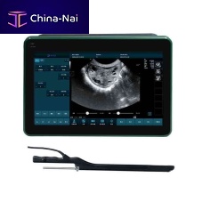 Portable veterinary ultrasound system BXL-DZ20multipurposefor cattlefor sheep