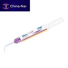 Epoxy resin dental material 2Seal easymiXfor root canal sealing