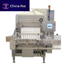 Automatic washing tunnel WM