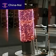 Premix burner gasdirect firedfor food