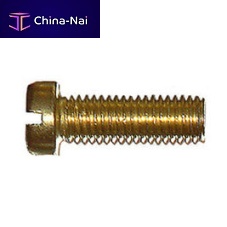 Cylindrical head screw DIN 84slottedbrass