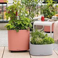 Plastic planter PILAsquaremodularwheeled