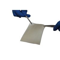 Abdominal tissue matrix BIORIPAR Porcine Dermispelviccollagenxenograft
