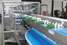 Vegetable processing line