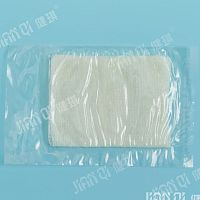 Wound dressing 20193141040
