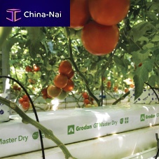 Planting bag MASTER DRY
