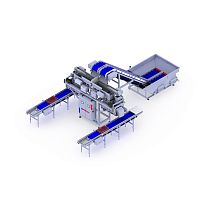 Fish weighing system high-speed