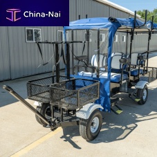 4 Pers. airport buggy SSC6 Pers.